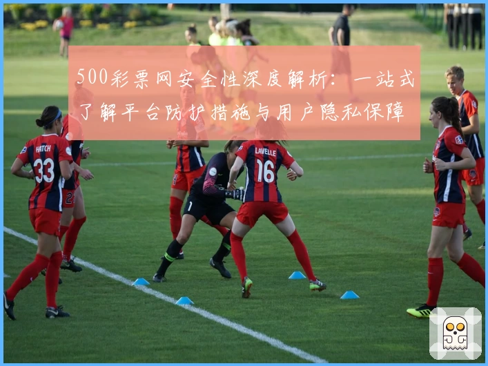 500彩票网安全性深度解析:一站式了解平台防护措施与用户隐私保障