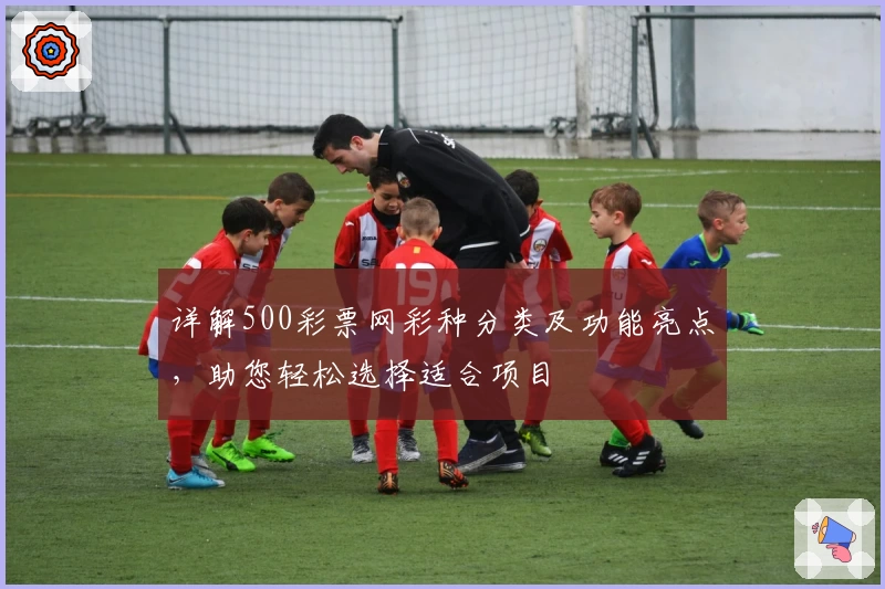 详解500彩票网彩种分类及功能亮点，助您轻松选择适合项目