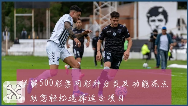 详解500彩票网彩种分类及功能亮点，助您轻松选择适合项目