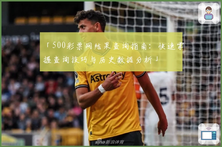 「500彩票网结果查询指南：快速掌握查询技巧与历史数据分析」