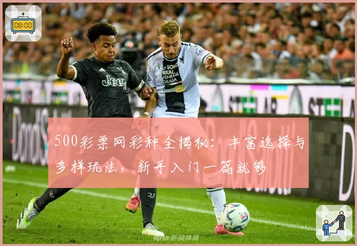500彩票网彩种全揭秘:丰富选择与多样玩法,新手入门一篇就够