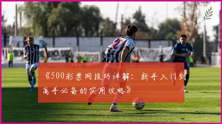 《500彩票网技巧详解：新手入门到高手必备的实用攻略》