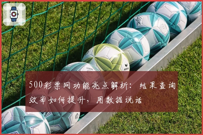 500彩票网功能亮点解析：结果查询效率如何提升，用数据说话