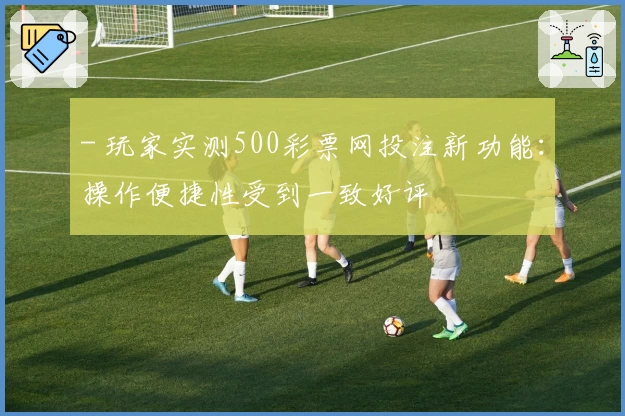 - 玩家实测500彩票网投注新功能：操作便捷性受到一致好评