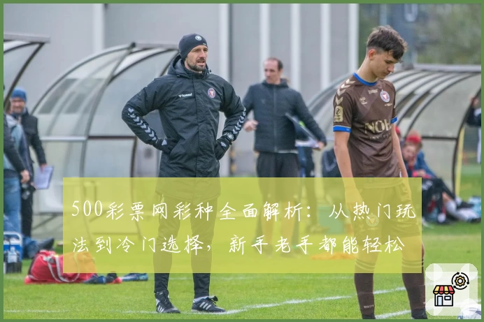 500彩票网彩种全面解析：从热门玩法到冷门选择，新手老手都能轻松上手