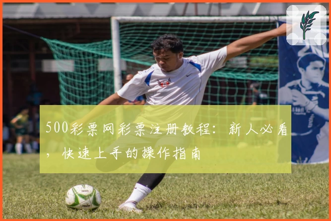 500彩票网彩票注册教程：新人必看，快速上手的操作指南