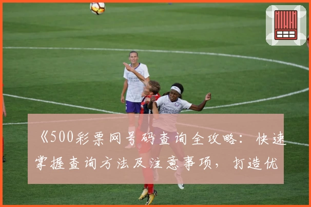 《500彩票网号码查询全攻略：快速掌握查询方法及注意事项，打造优质用户体验》